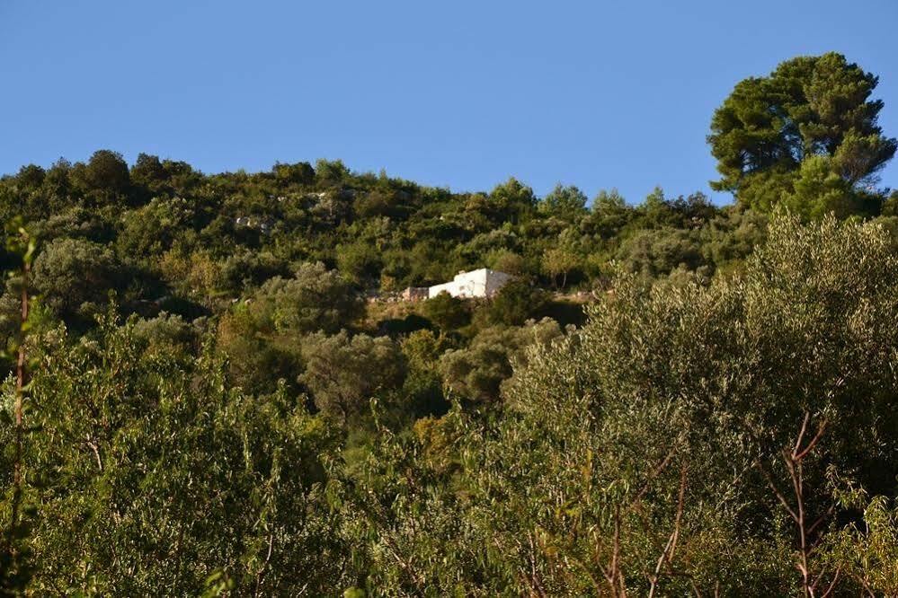 La Lamia 1864 By Rentbeat Apartman Ostuni Kültér fotó